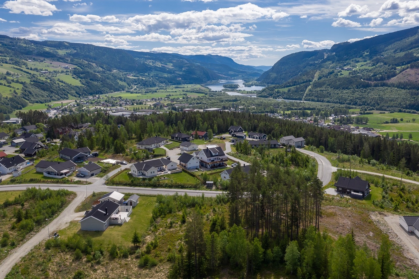 Salmakervegen Galleribilde