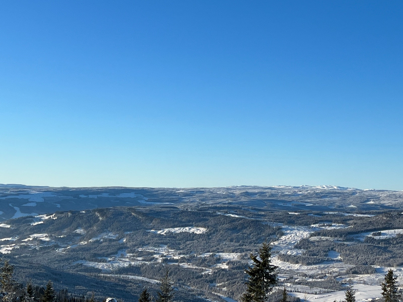 Bilde fra Bjørgesætra Galleribilde