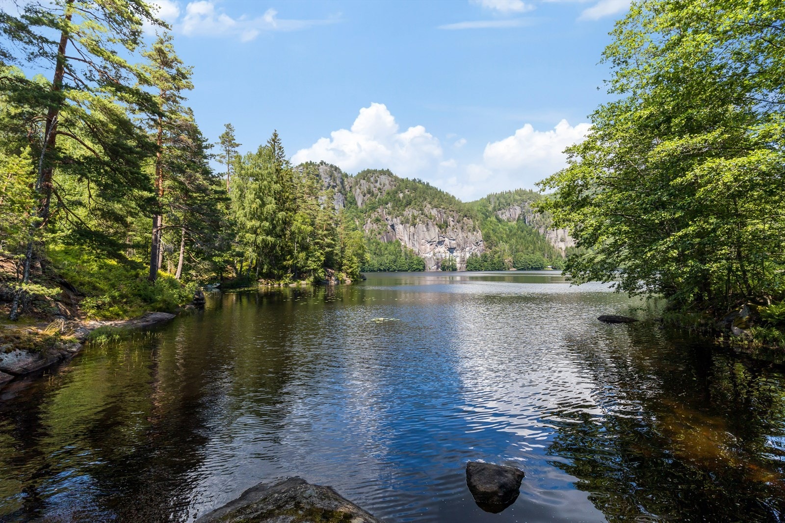 Damvann Galleribilde