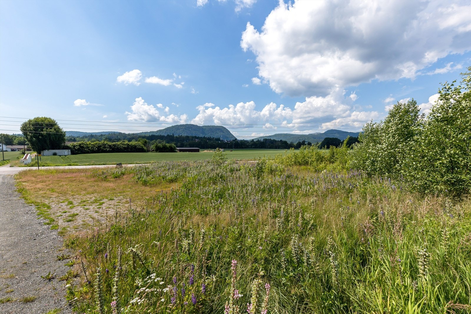 Kim Leite Slinning har gleden å presentere denne flotte tomten på Hedrumveien Galleribilde
