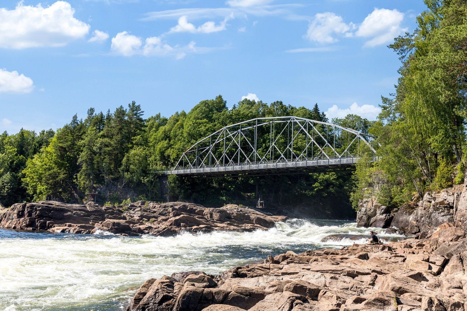 Laksefiske er populært i Lågen Galleribilde
