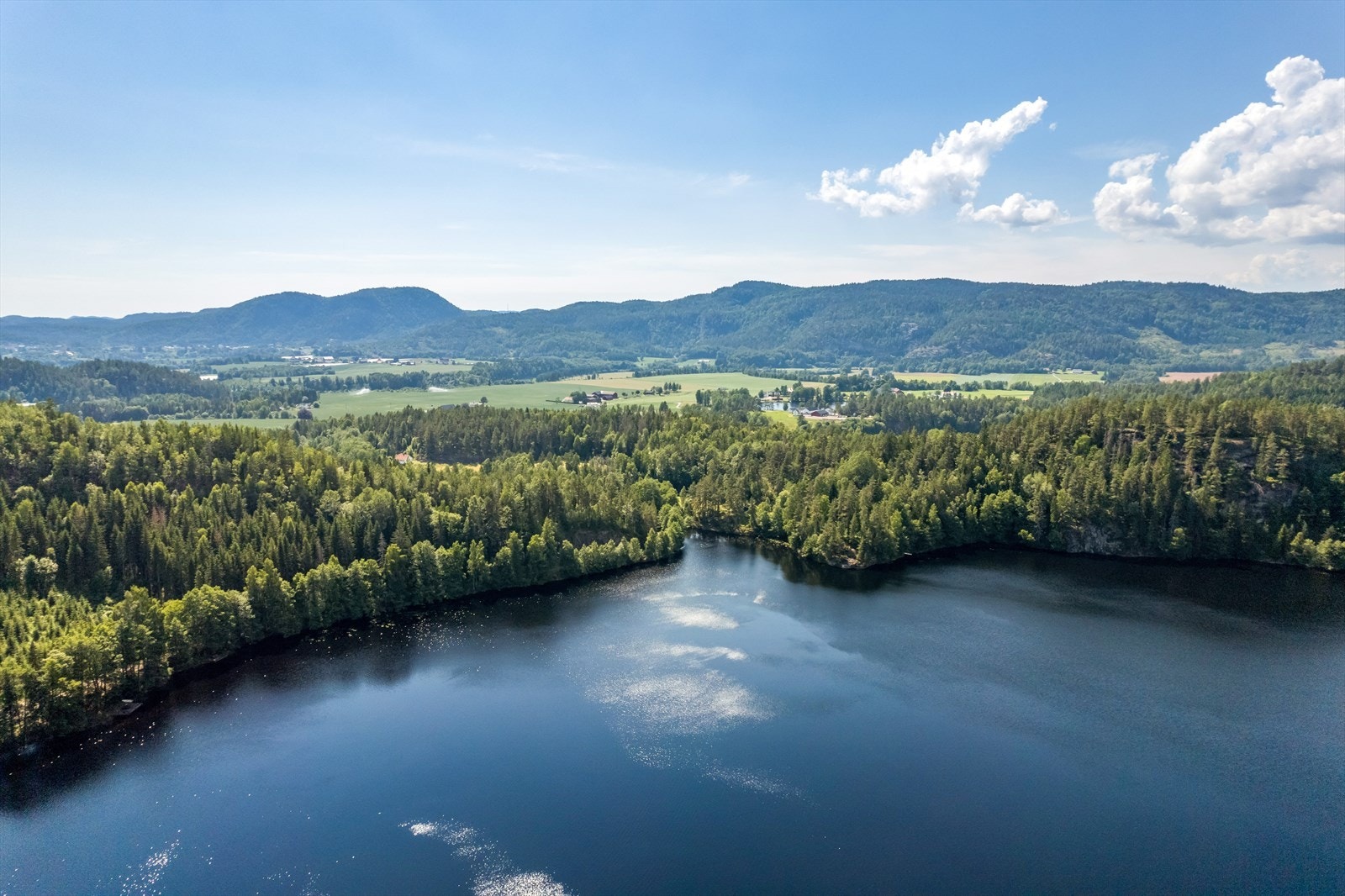 Fine turområder rundt Damvann Galleribilde