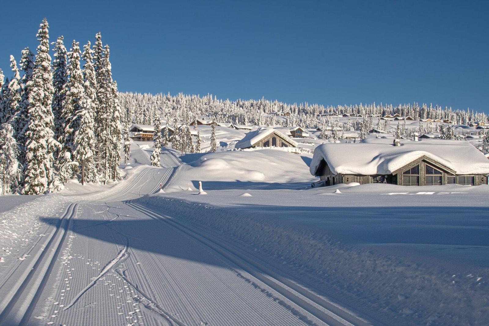 Slåseterlia januar 2023 Galleribilde