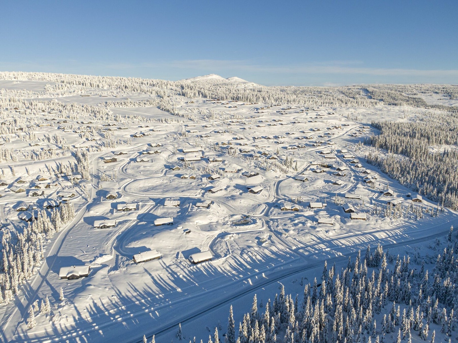 Slåseterlia januar 2023 Galleribilde