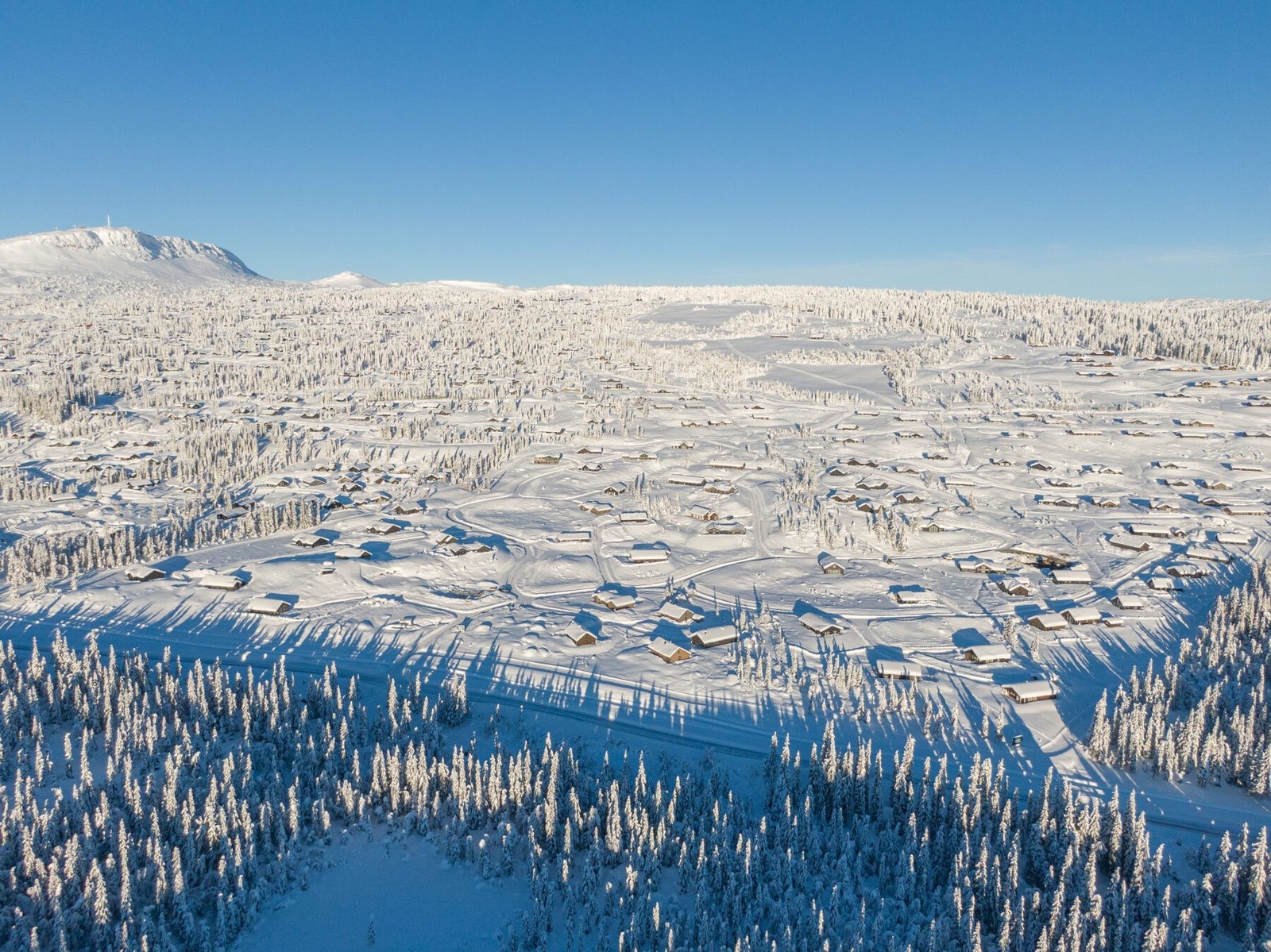 Slåseterlia januar 2023 Galleribilde