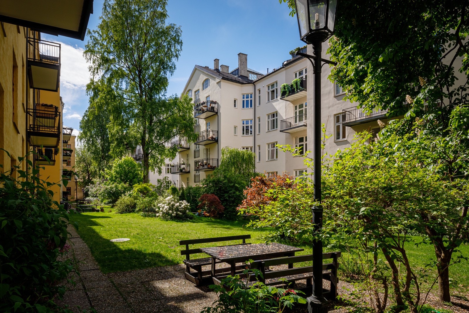 Sommerbilde fra felles åpent gårdstun Galleribilde