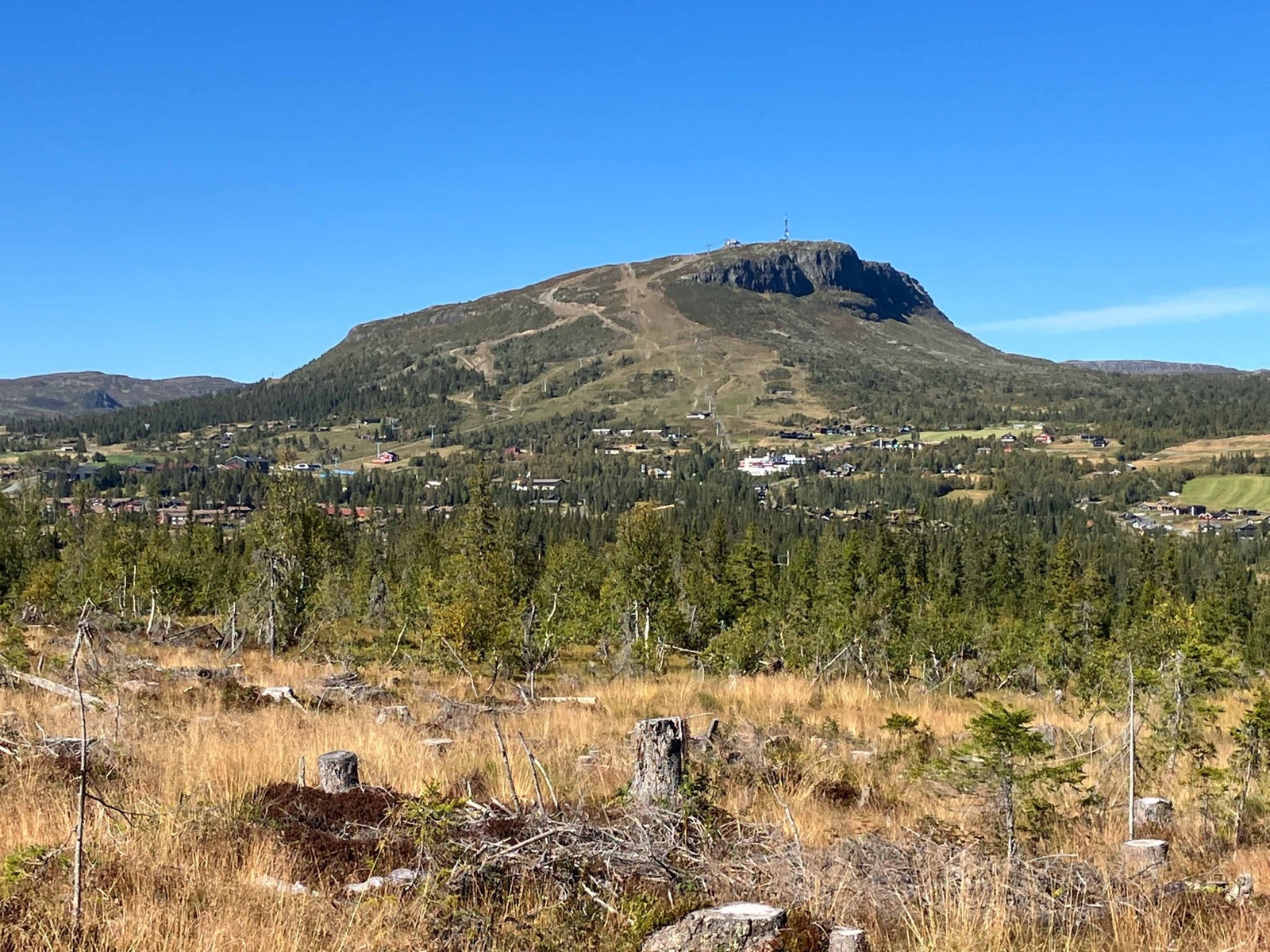 Fra tomteområdet Galleribilde