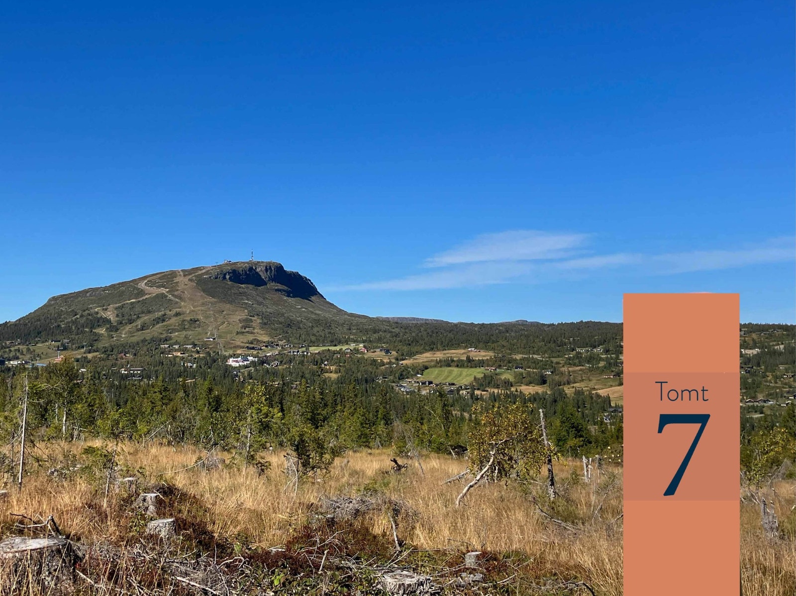 Fra tomt 7 Galleribilde