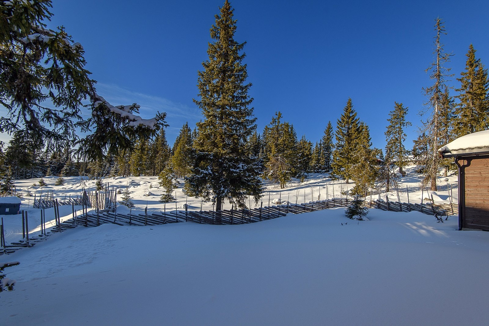 Nordseter skiller seg ut fra de store alpinlandsbyene med en mer rolig og stille natur. Galleribilde