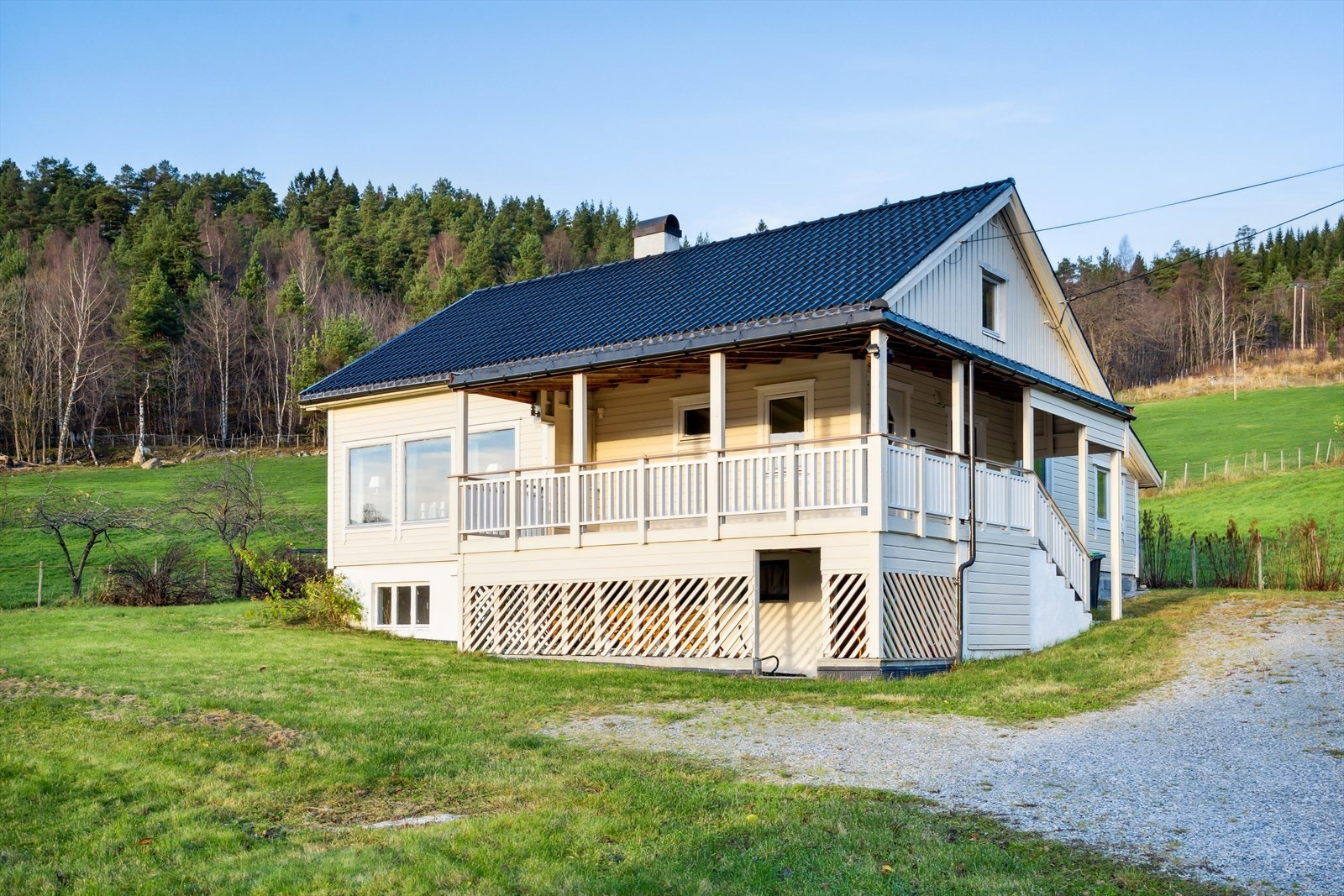 Fasade Galleribilde