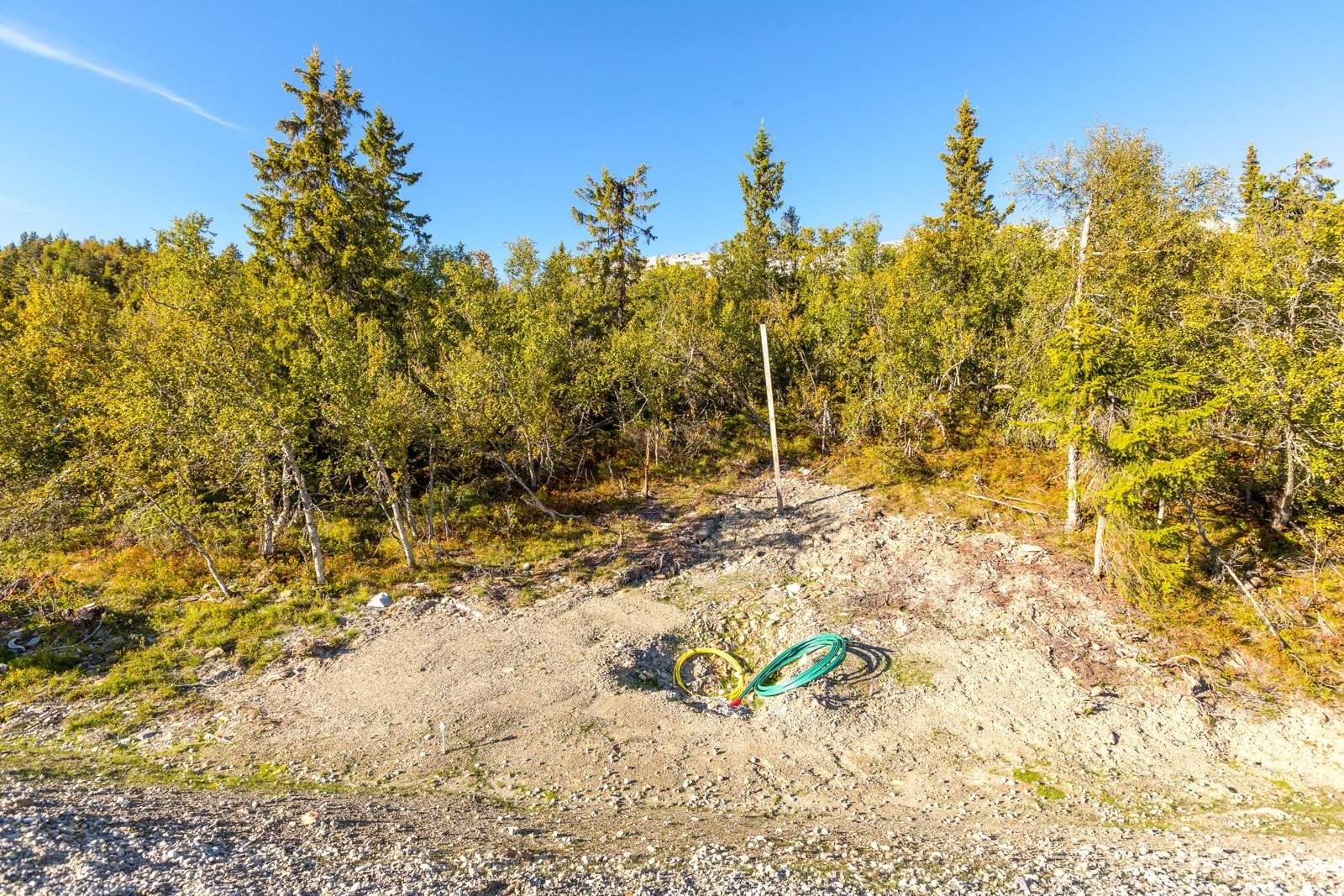 Svartskardvegen 248 (2) Galleribilde