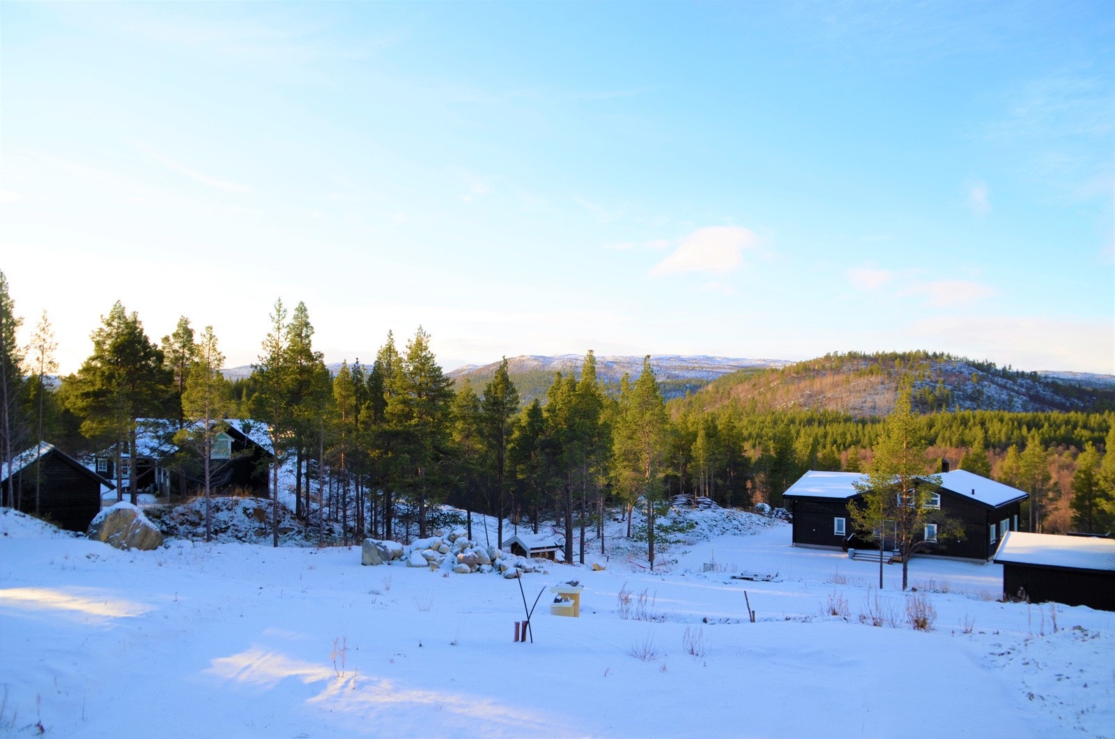 God utsikt fra tomtene! Galleribilde