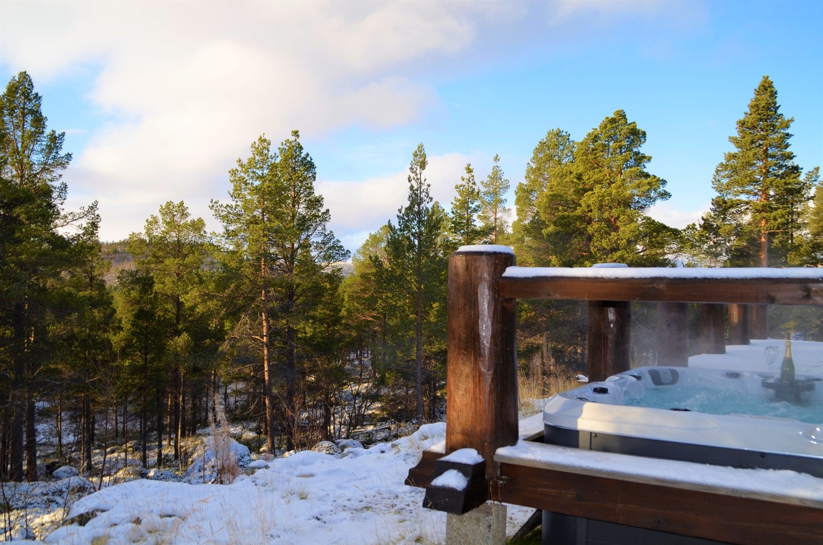 Skuterløyper og skiløyper i umiddelbar nærhet av tomtene! Galleribilde