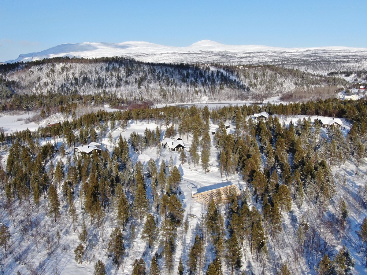 Området sett fra sydvest mot nordøst Galleribilde