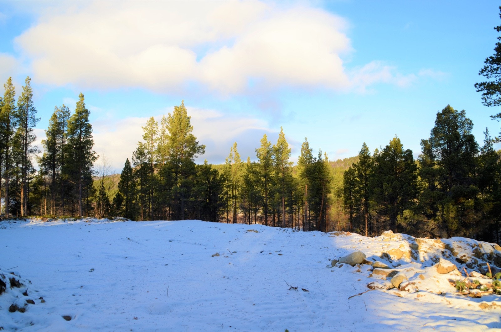 Tomt under planering Galleribilde