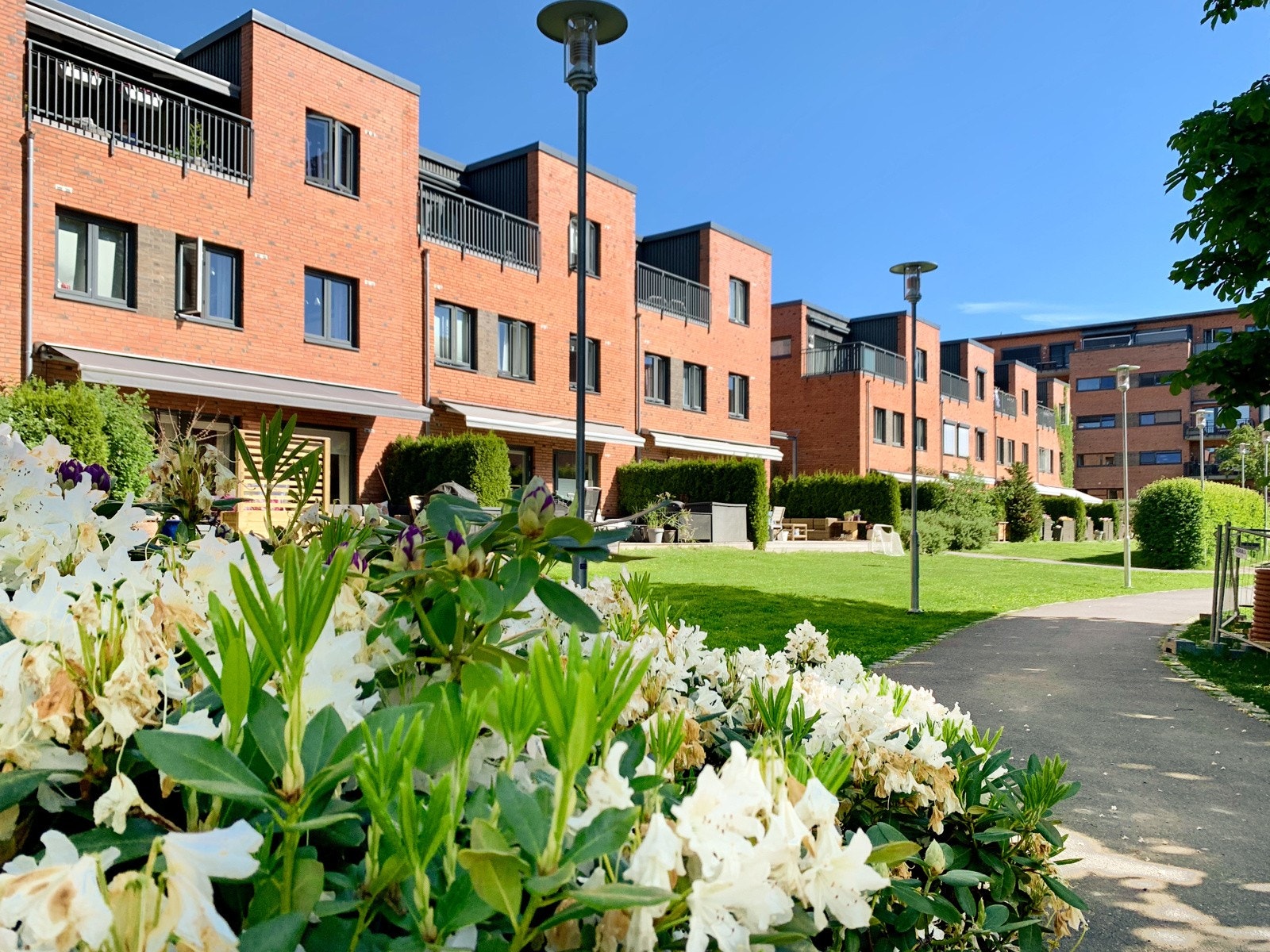 Pent opparbeidet fellesoråde med frodige busker og velstelte plener. Galleribilde