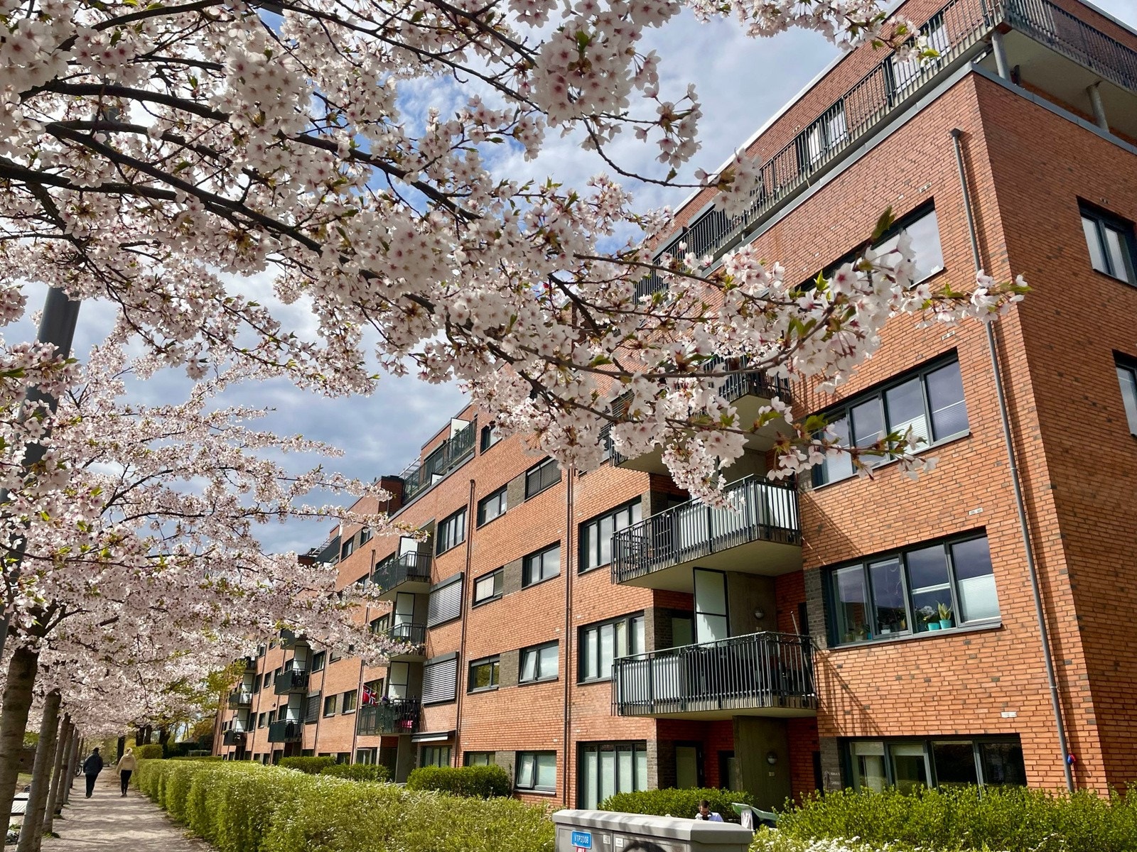 Leiligheten har en sentral og attraktiv beliggenhet på spennende Hasle, nærmere bestemt mellom Lille Tøyen Hageby, Hovin og Ensjø. Nærområdet er betydelig oppgradert de senere år, både med hensyn til uterom og moderne bebyggelse. Galleribilde