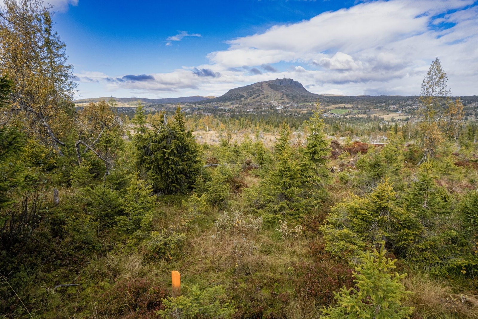 fra tomteområdet mot nord Galleribilde