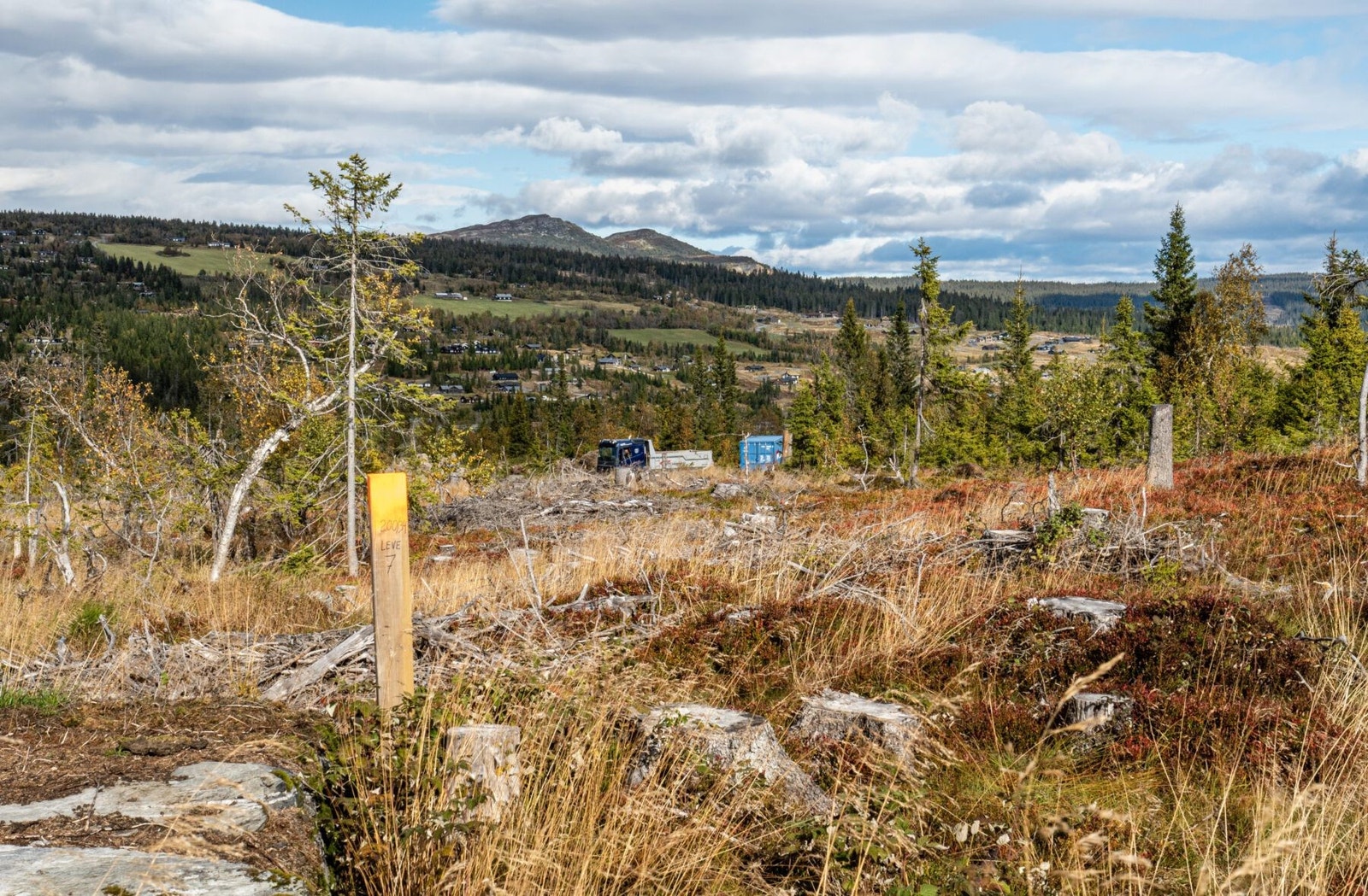 fra tomt 7 mot øst og Killiknappen Galleribilde