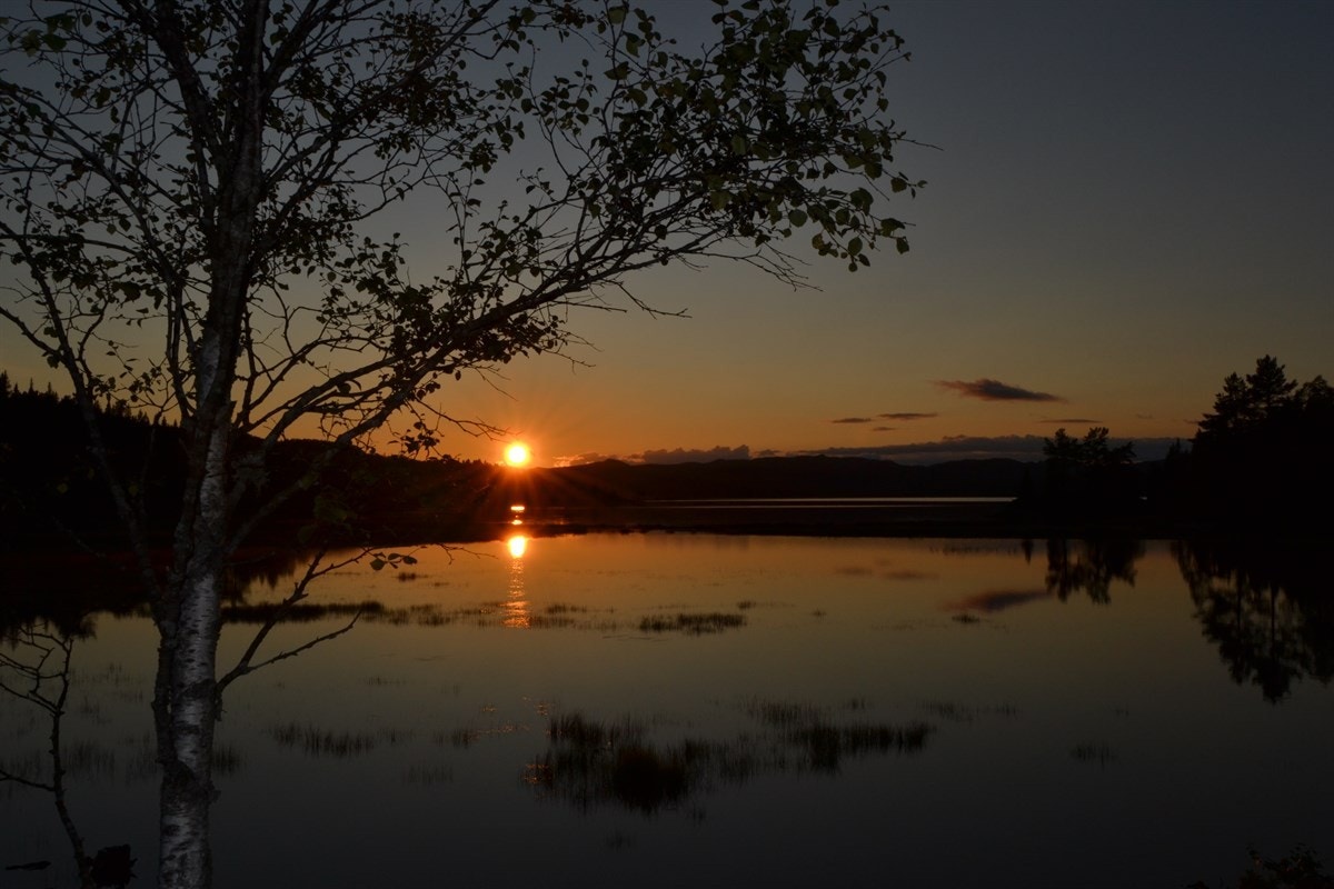 Vakker solnedgang Galleribilde