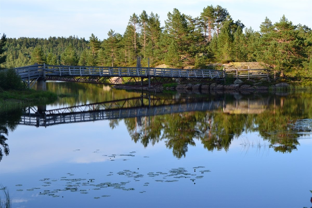 Høvringsvannet Galleribilde