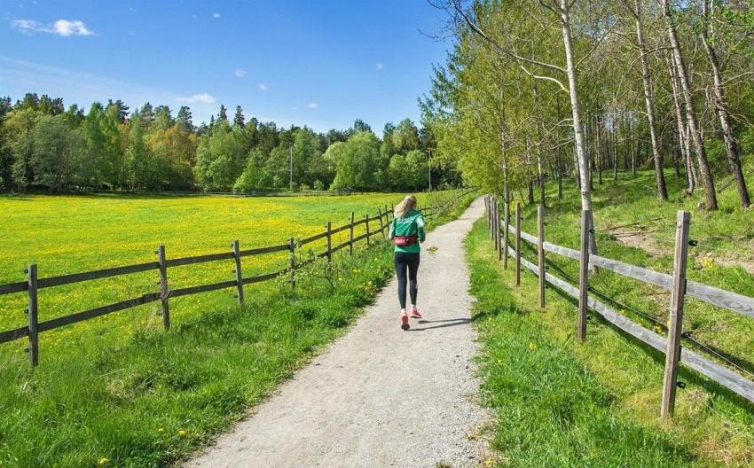 Noen minutters gange til Søndre Aas gård med turmuligheter, dyr, hester og rideskole - en idyllisk besøksgård, omkranset av flotte rekreasjonsmuligheter. Galleribilde