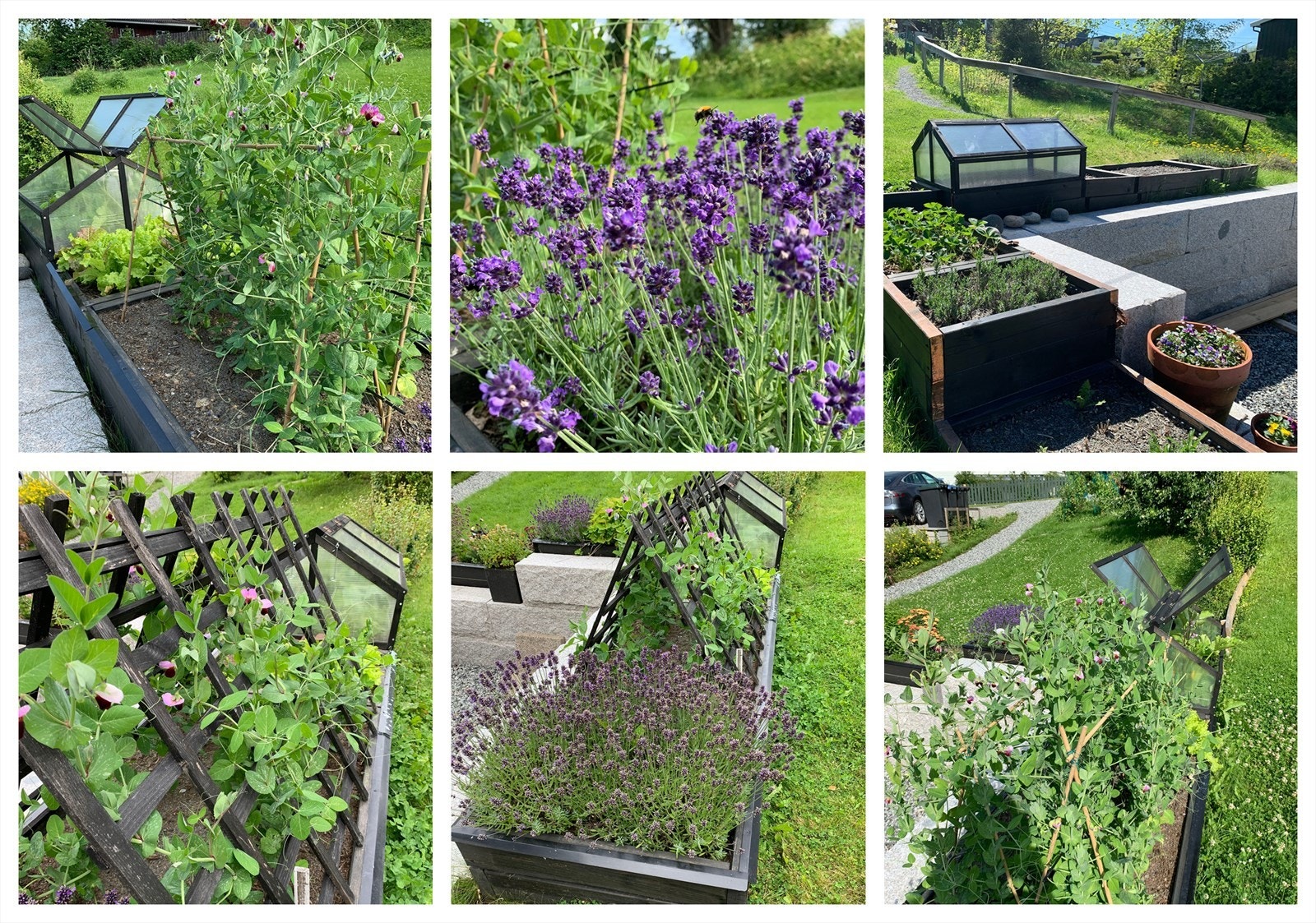 Frodige og pent opparbeidede utearealer Galleribilde