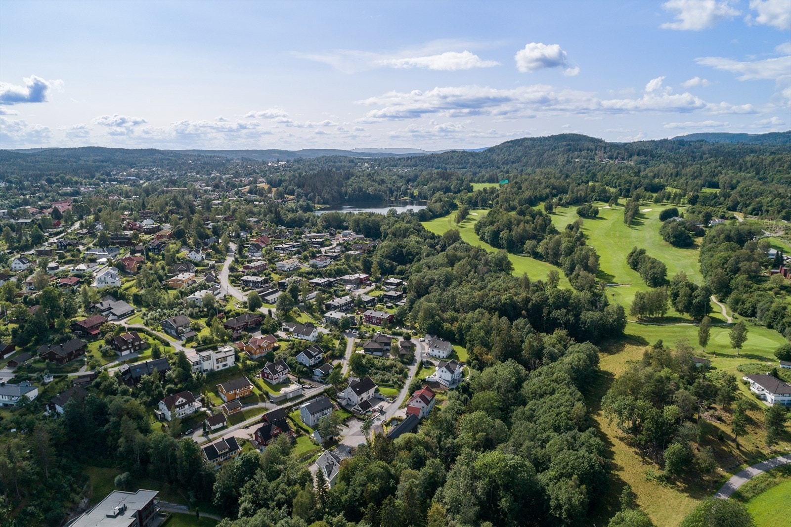 Oversiktsbilde sommer. Galleribilde