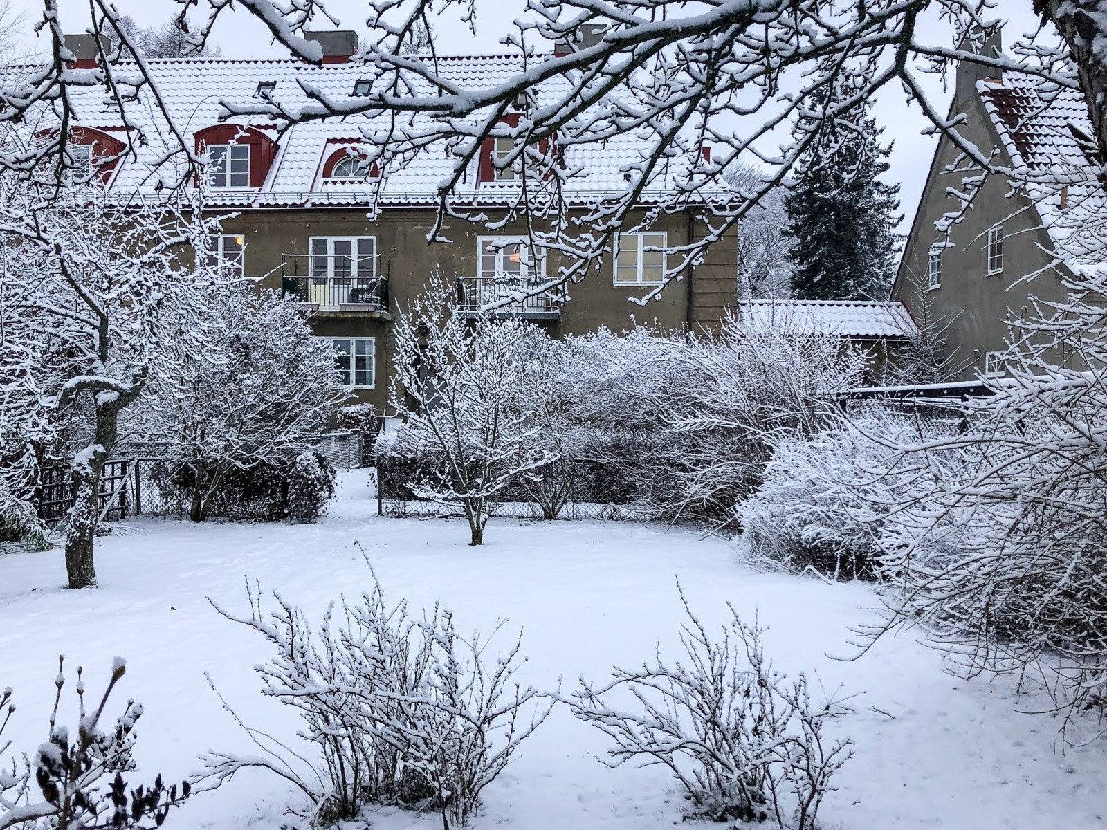 Det er god kontakt mellom hagen og vinduene som vender inn mot denne. Samtidig er man godt skjermet mot innsyn. Galleribilde