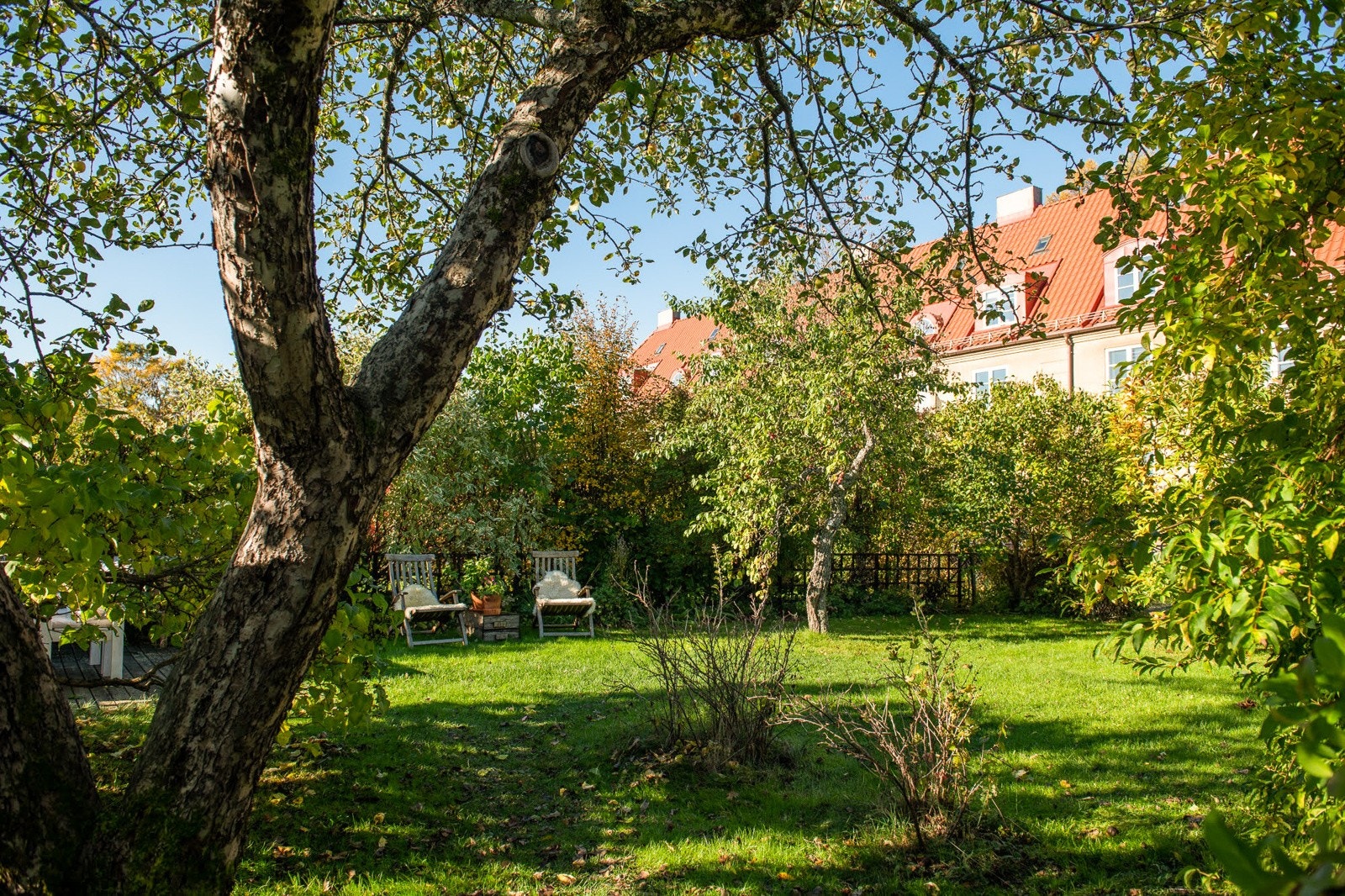 Ingen tilstøtende bygninger gir svært gode sol- og lysforhold, og gode rom for privatliv. Blant busker som vokser her kan nevnes syriner, forsythia, duftskjærsmin, klatrehortensia, stikkelsbær, solbær og rips. Galleribilde