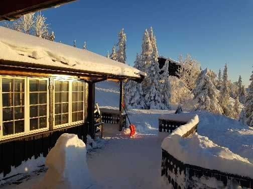 "Ring hytten varm" - løsningen gjør at du unngår å komme til iskald hytte. Galleribilde