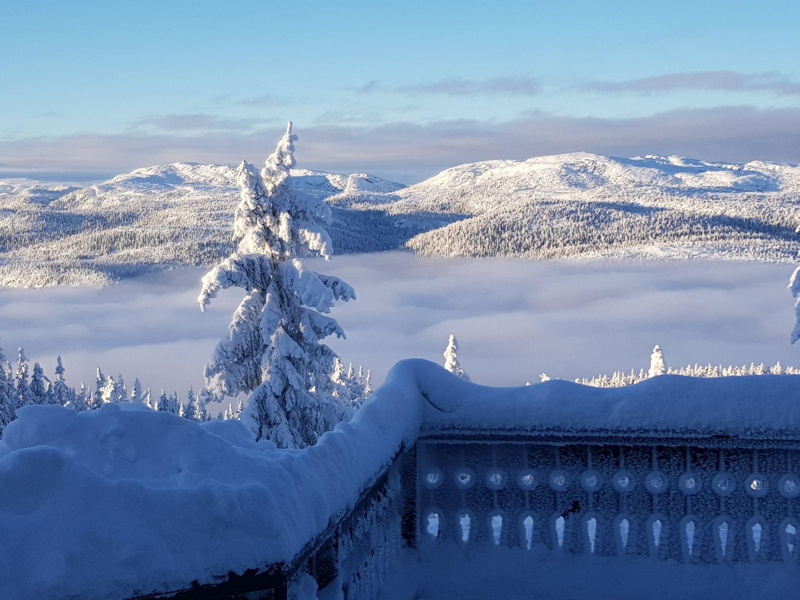 Velkommen til Skaresetran 80! Galleribilde