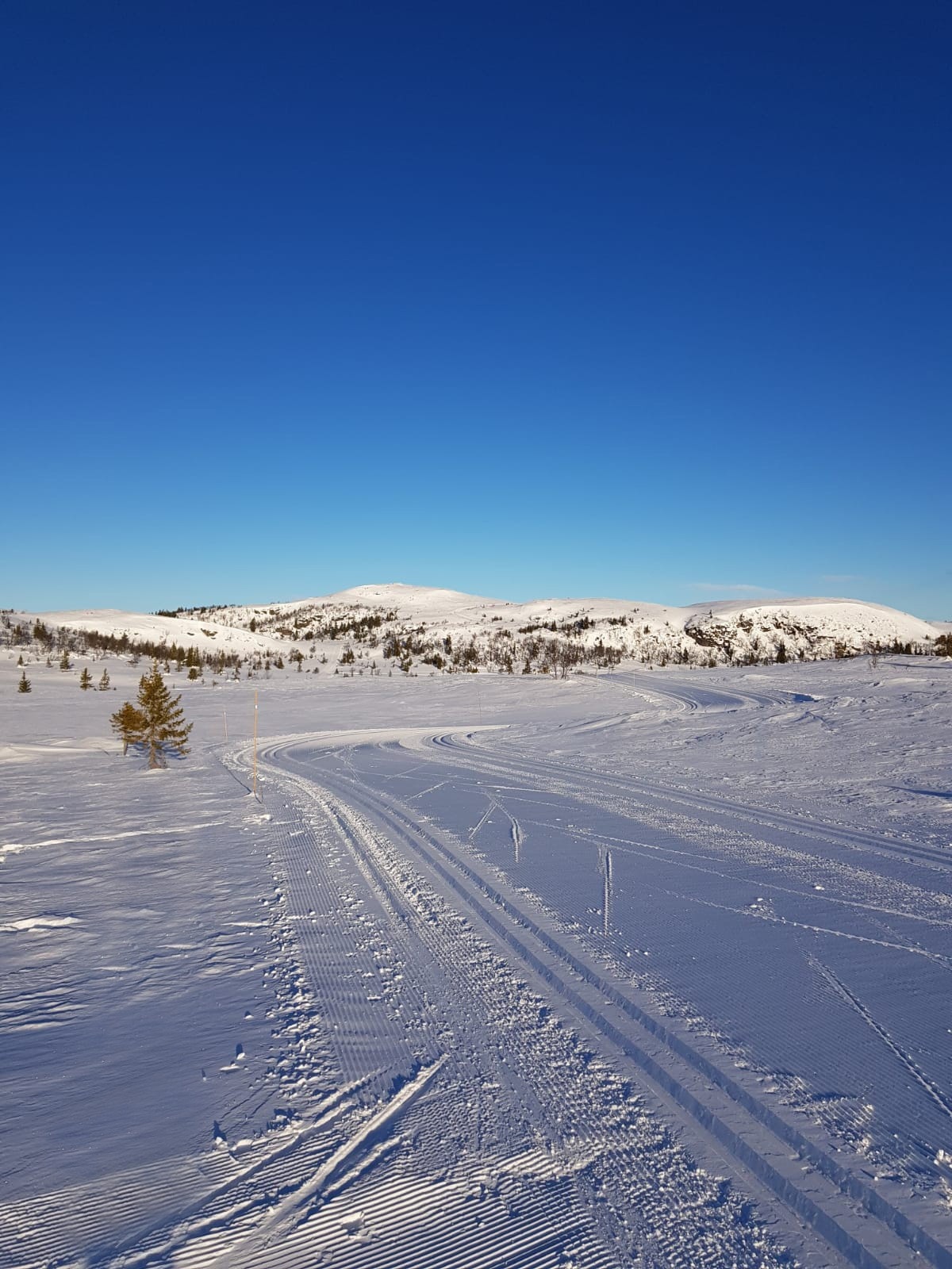 ... og preparering av skiløyper om vinteren. Galleribilde