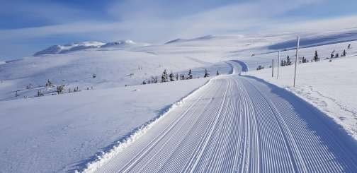 Kort vei til høyfjellet. Galleribilde