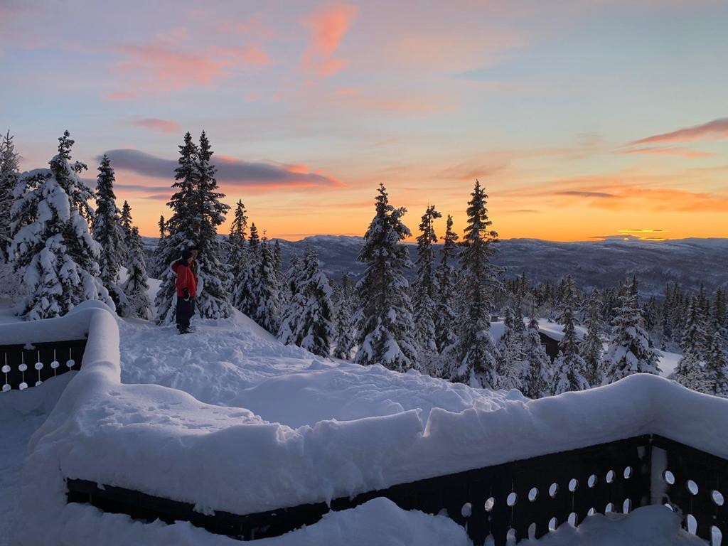 Hytta ligger i et snøsikkert område med milevis av preparerte løyper om vinteren og gode turstier resten av året. Her er det noe for hele familien. Galleribilde