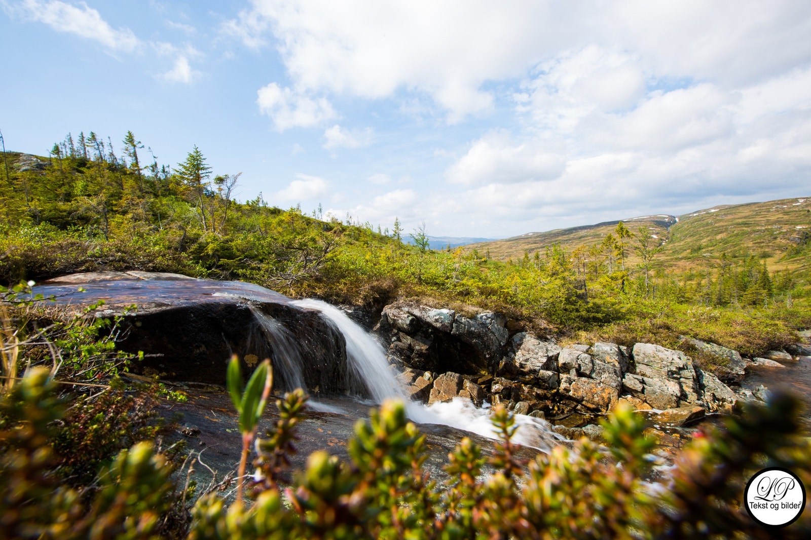 Fagerlia - Et fristed fra hverdagen Galleribilde