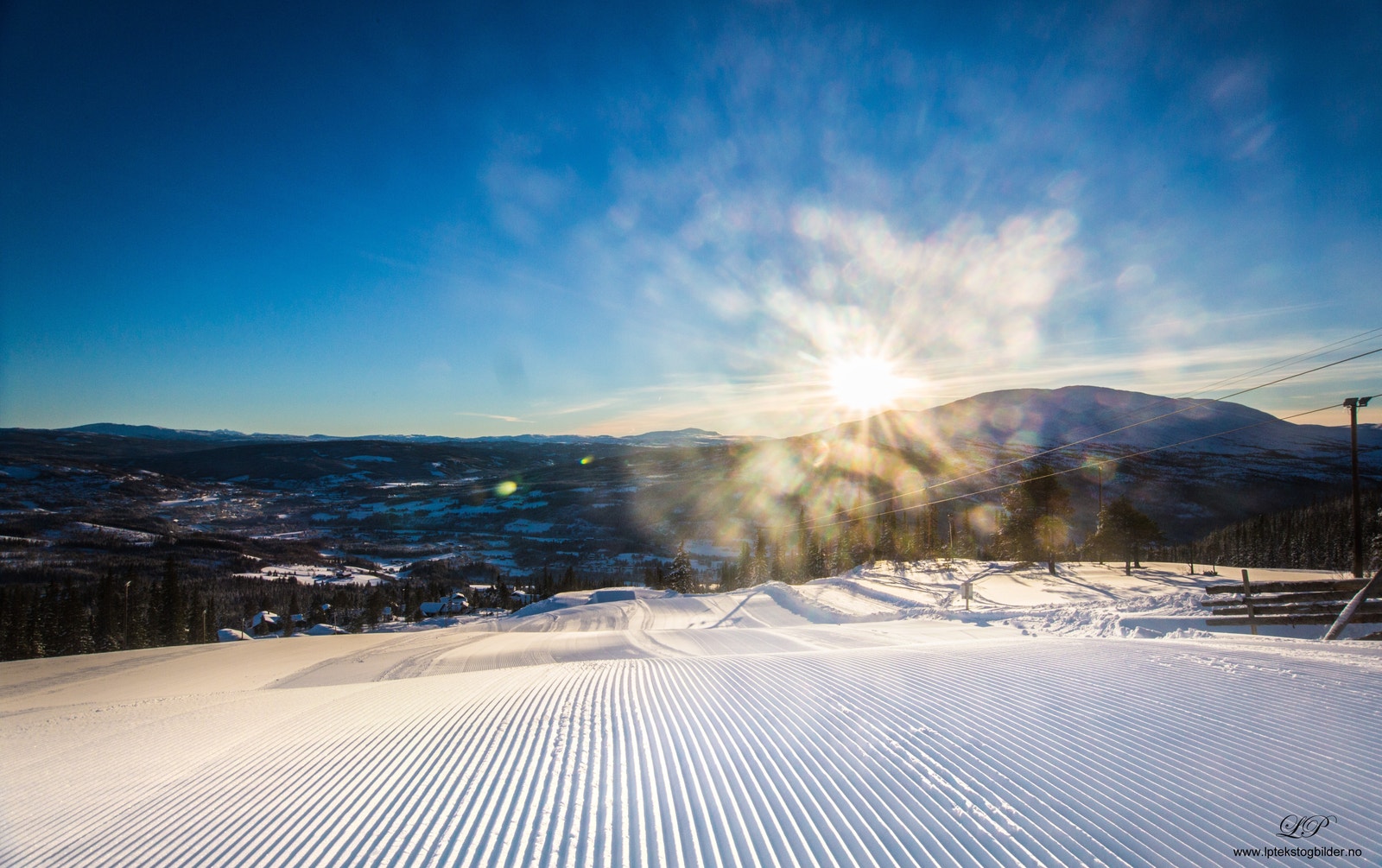 Meråker Alpinsente, din aller nærmeste nabo. Galleribilde