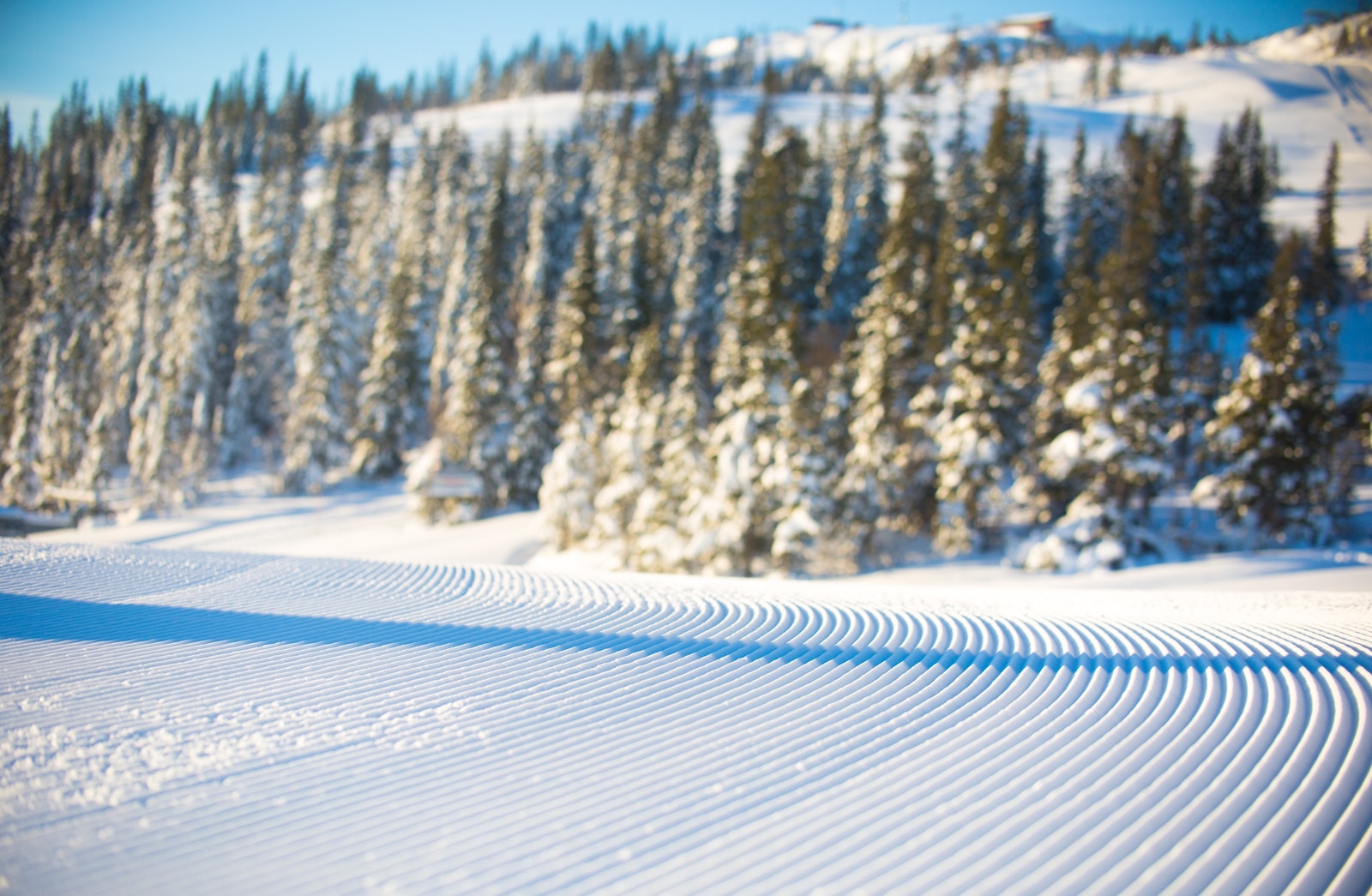 Her har man umiddelbar nærhet til oppkjørte skiløyper i hyttefeltet Galleribilde