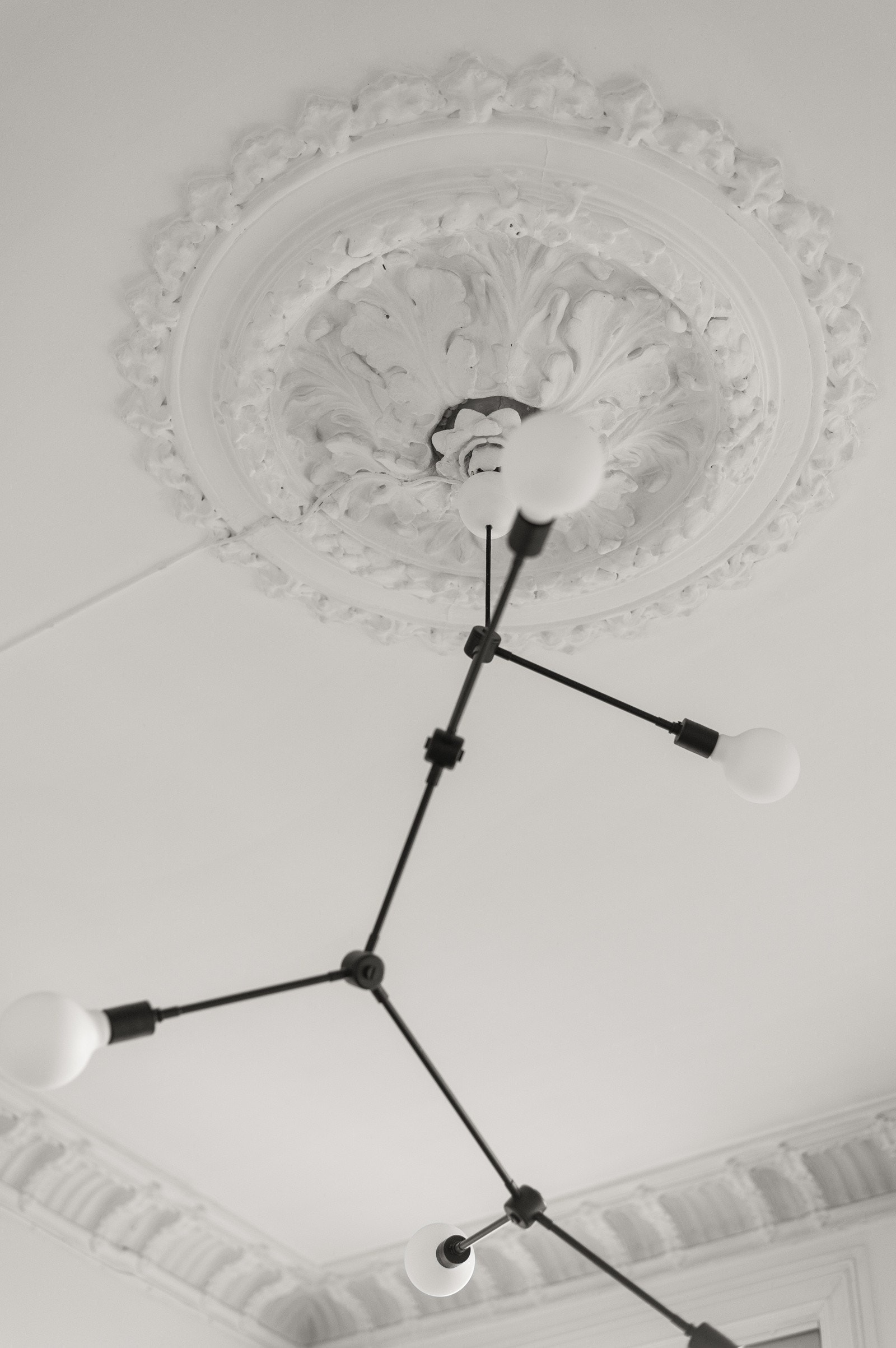 Velbevart rosett i stue. Galleribilde