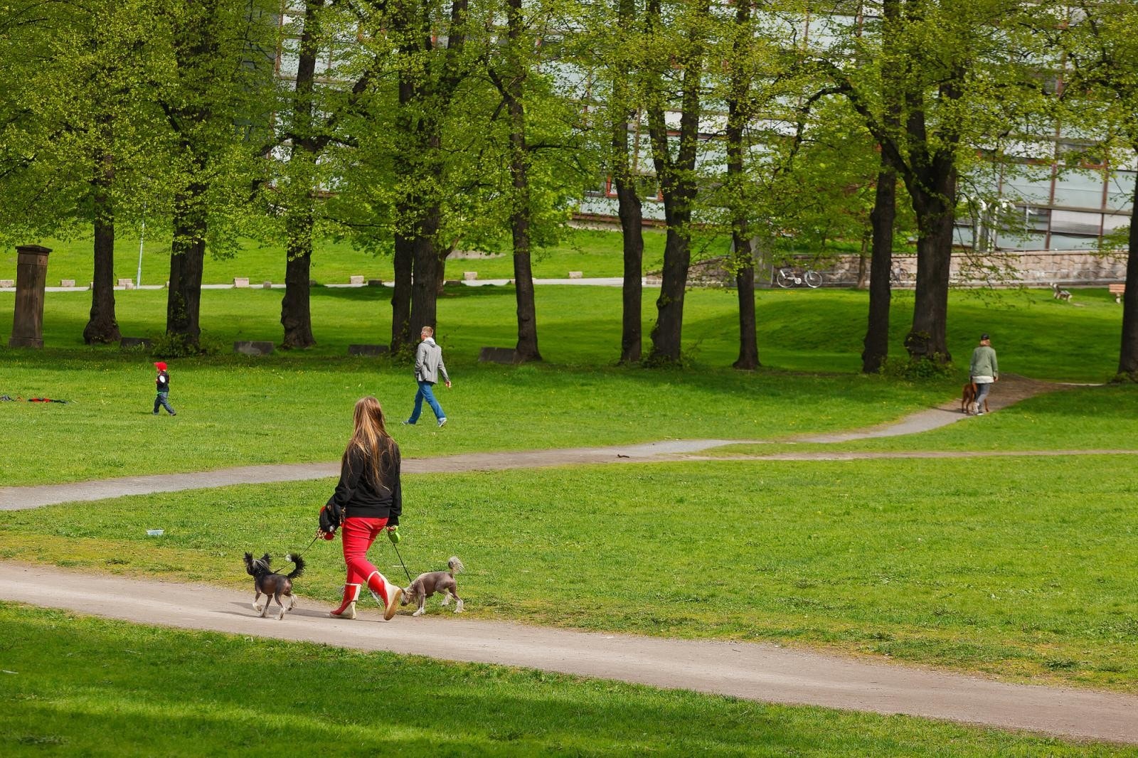Like ved leiligheten finner du Botsparken. Galleribilde