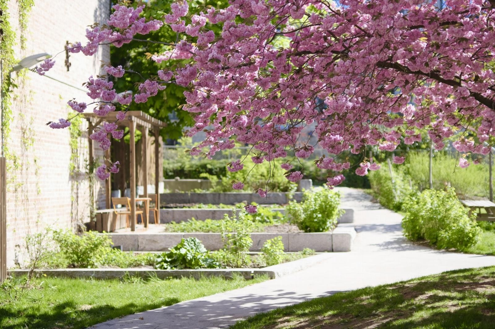 På sommerstid er dette et yndet sted for både store og små. Her er det laget ulike soner og internveier Galleribilde