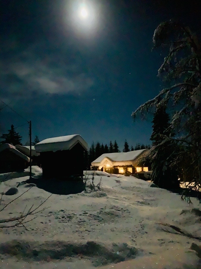DNB Eiendom v/Torfinn Holen har gleden av å presentere hyttetunet Barkejuvet 49 og 51! Galleribilde