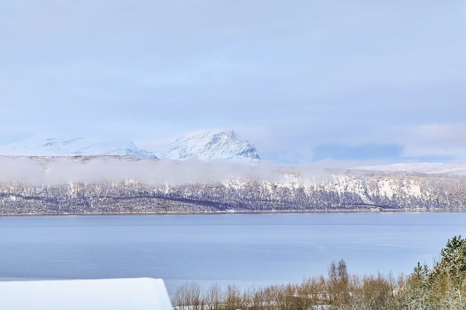 Utsikten fra boligen Galleribilde