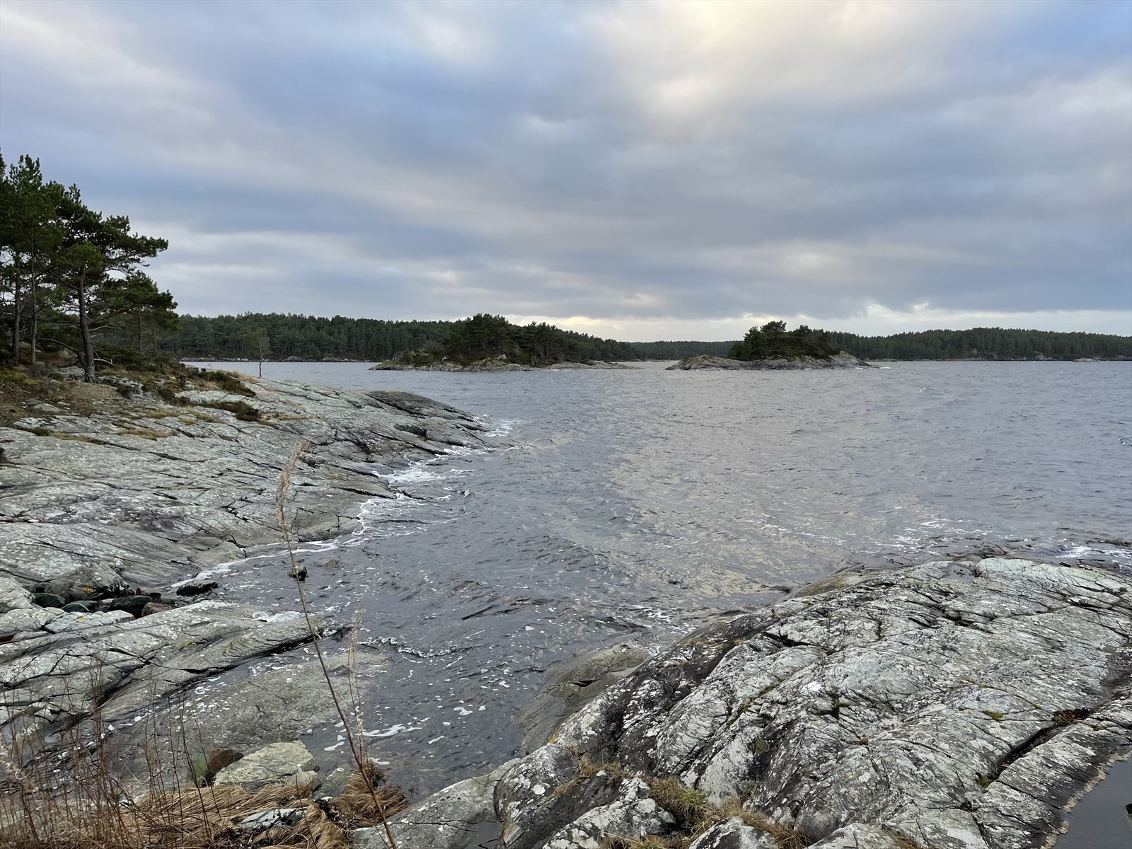 Flotte svaberg ved friområdet Galleribilde