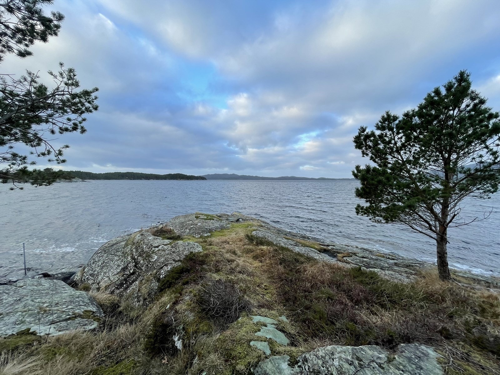 Friområde Galleribilde