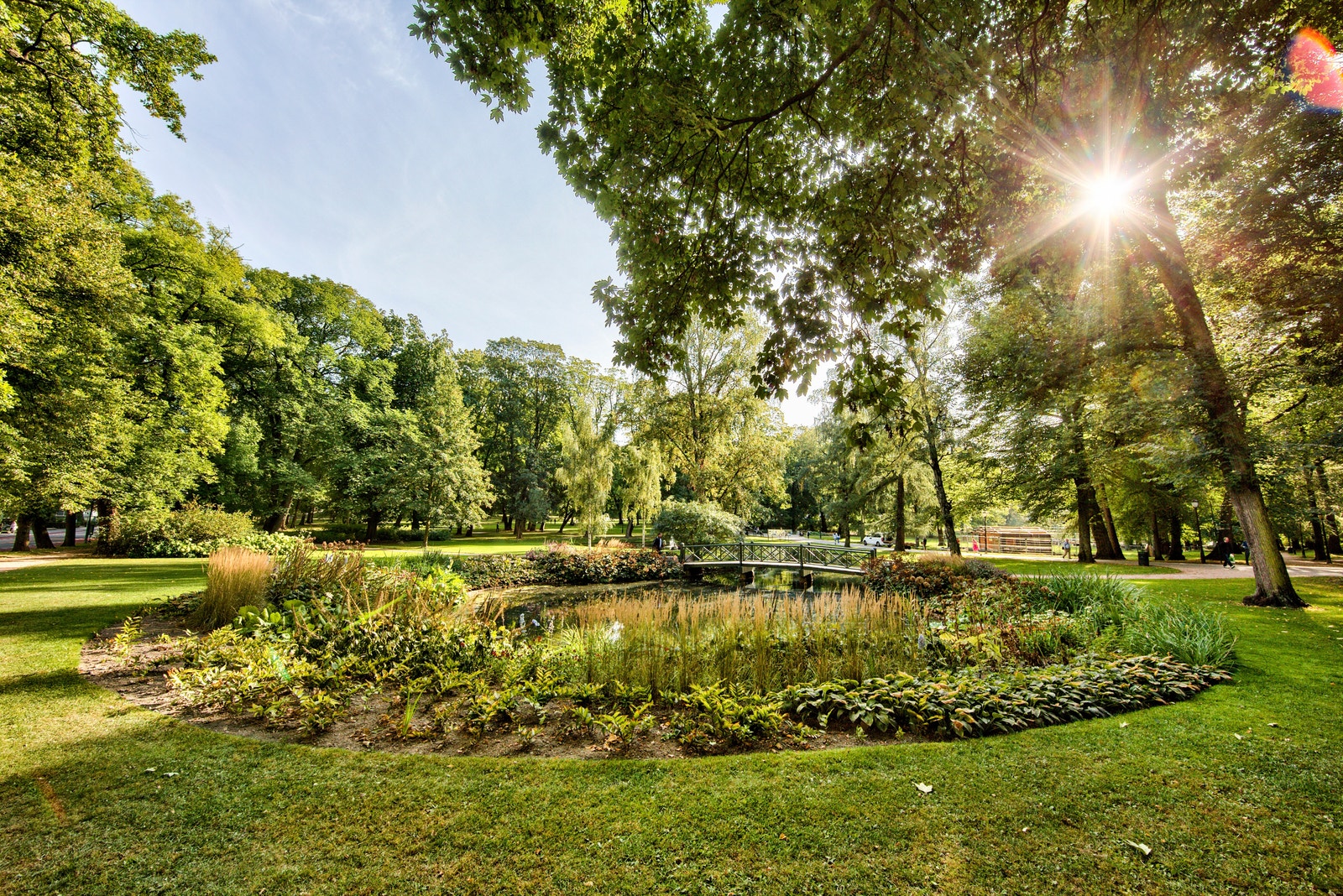 Pulserende nærområdet Galleribilde