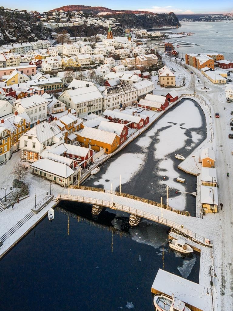 Blindtarmen Galleribilde