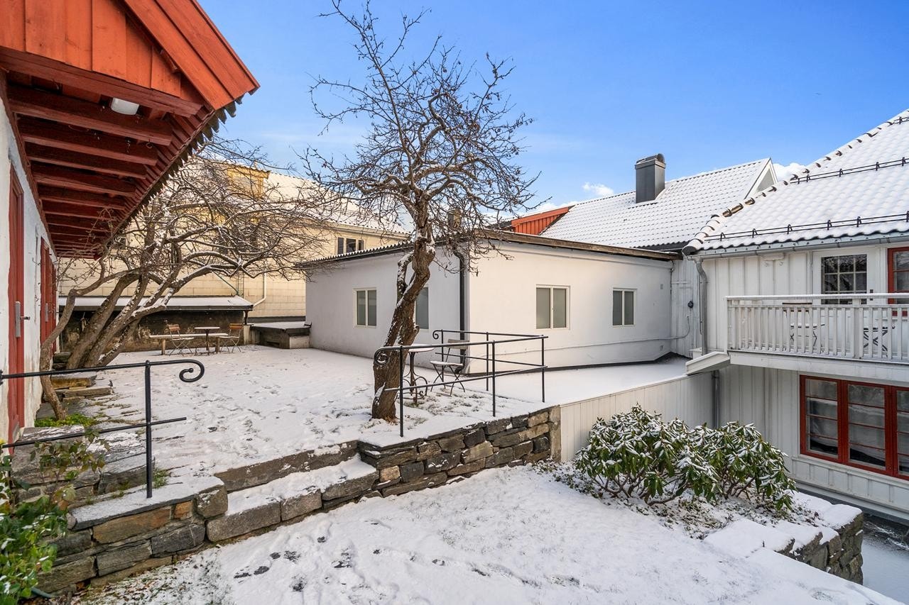 Bakhage Galleribilde