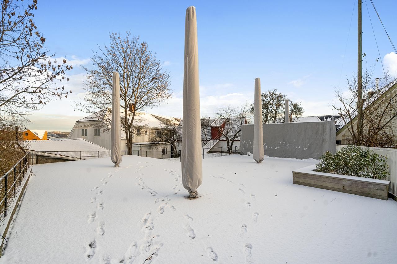 Bakhage Galleribilde