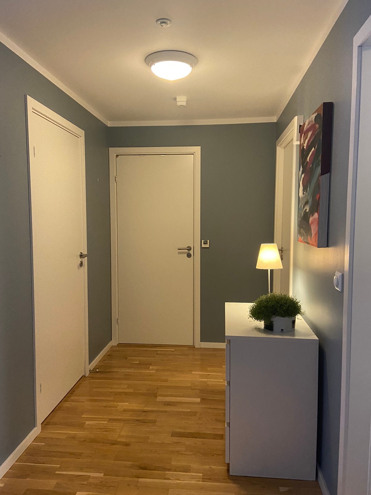 Gang med dør til innvendig bod, baderom, lite soverom og yttergang Galleribilde